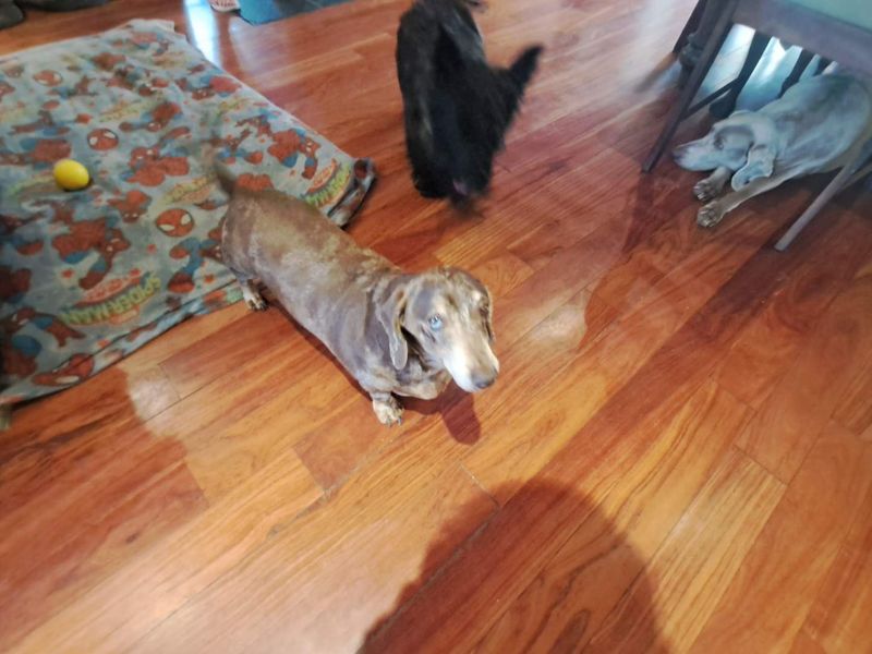 1 Bedroom House Share - Photo 8