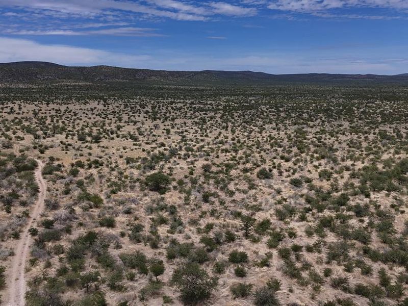 A well-priced opportunity in the heart of the Khorigas district – perfect for serious buyers looking to invest in Namibia’s agricultural sector. - Photo 2