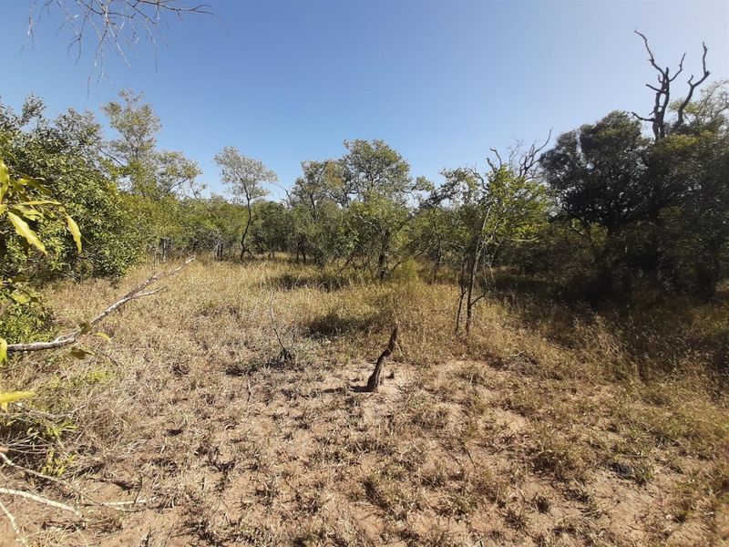 Choose your view! - Photo 4