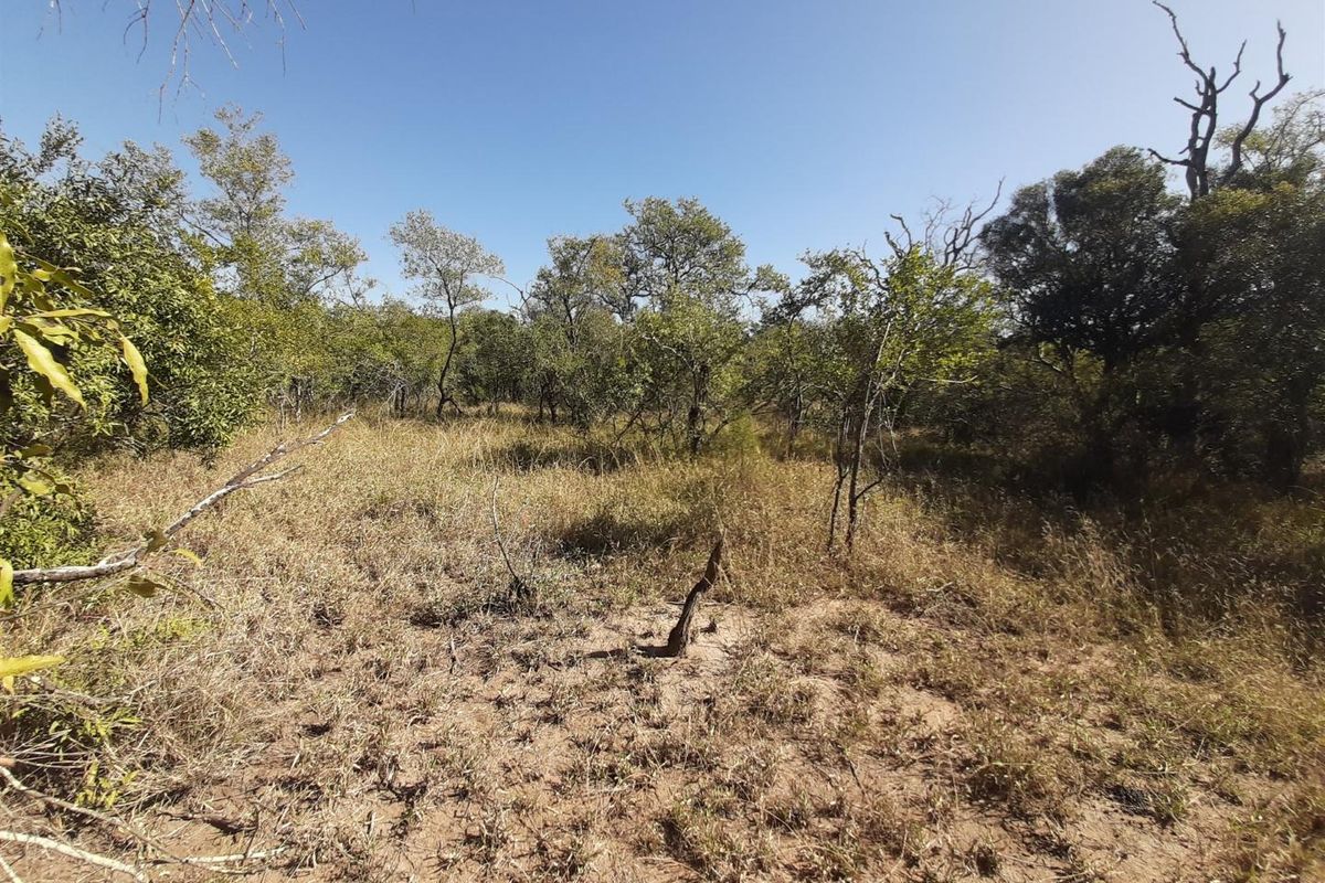 Choose your view! - Photo 4