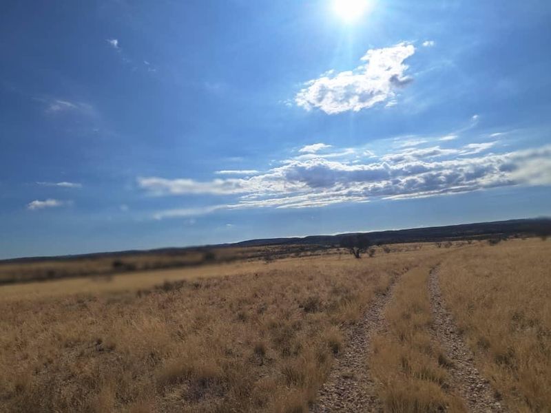 Farm Karnas - Photo 8