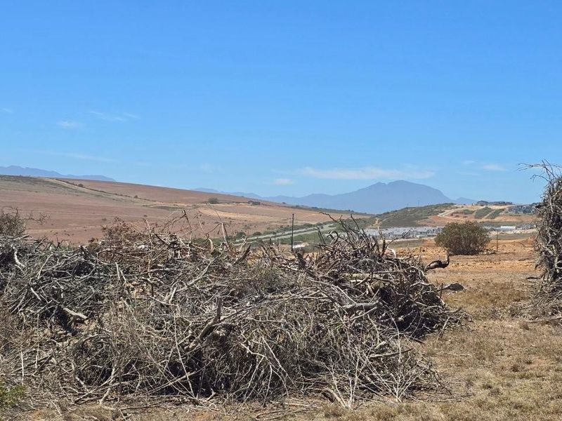 Exclusive Opportunity - 849m2 Vacant Stand For Sale in Hartland Lifestyle Estate - Photo 6