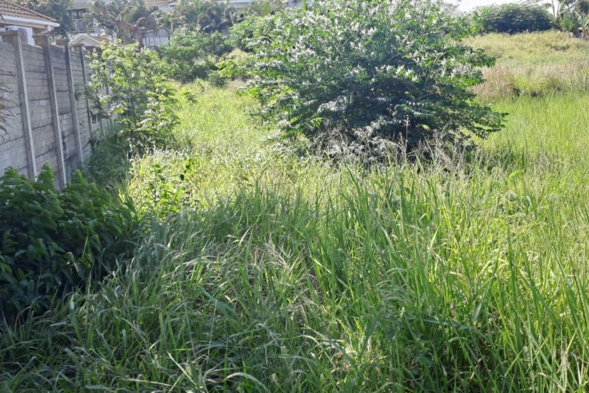 Vacant Residential Land – Birdswood, Richards Bay - Photo 5