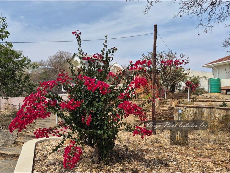 A view of the property garden featuring a large bougainvillea, stone retaining walls, and a paved walkway leading toward the house exterior.