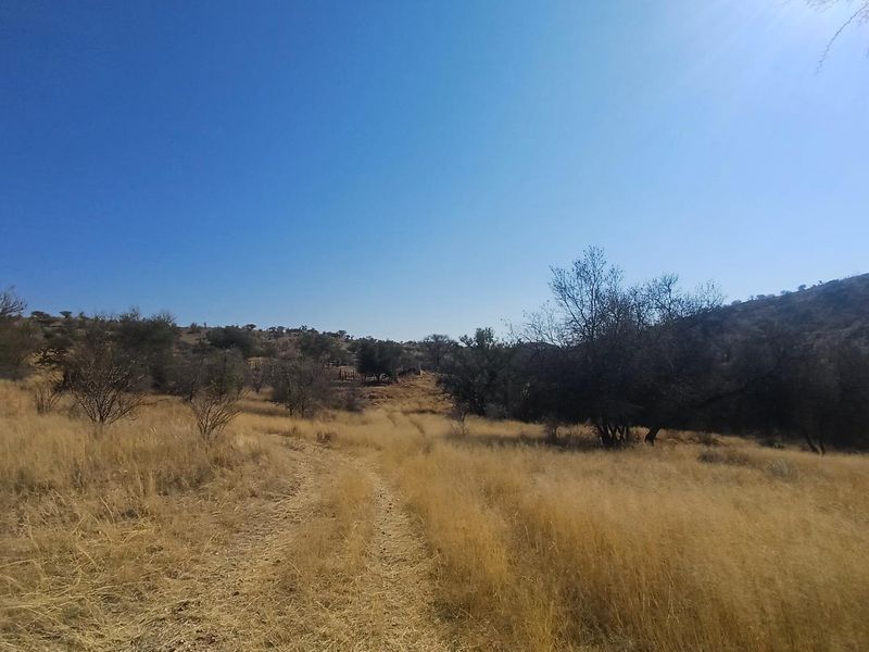 A wide-angle view of the expansive farm landscape featuring dry grassland, native trees, and a natural dirt track leading through the property.