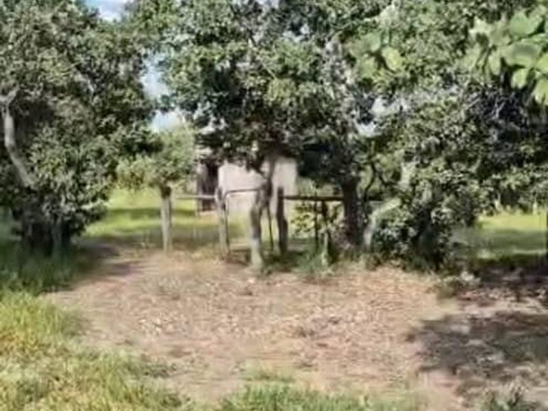 Farm For Sale - Photo 7