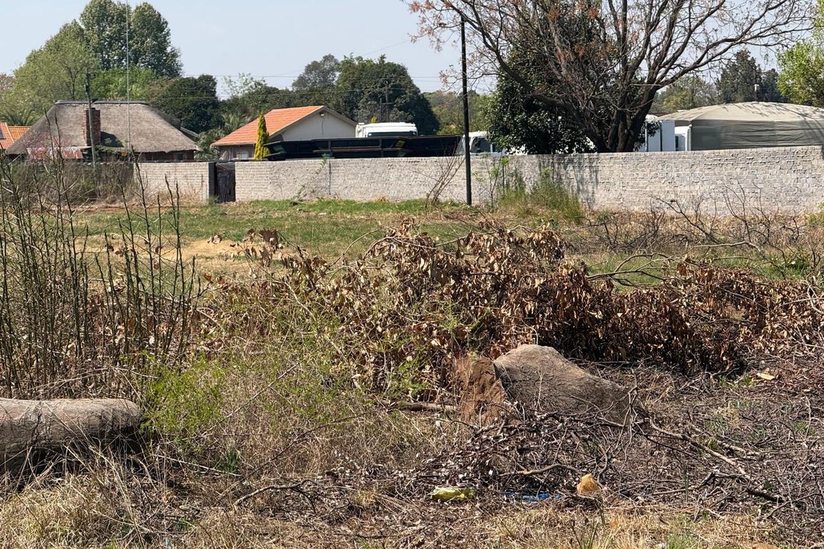 A vacant residential plot featuring overgrown vegetation and a perimeter masonry wall, offering a blank canvas for future development.