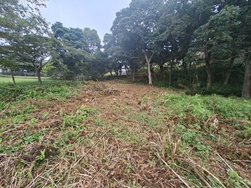 Nestled in the serene enclave of Crestview - Photo 6