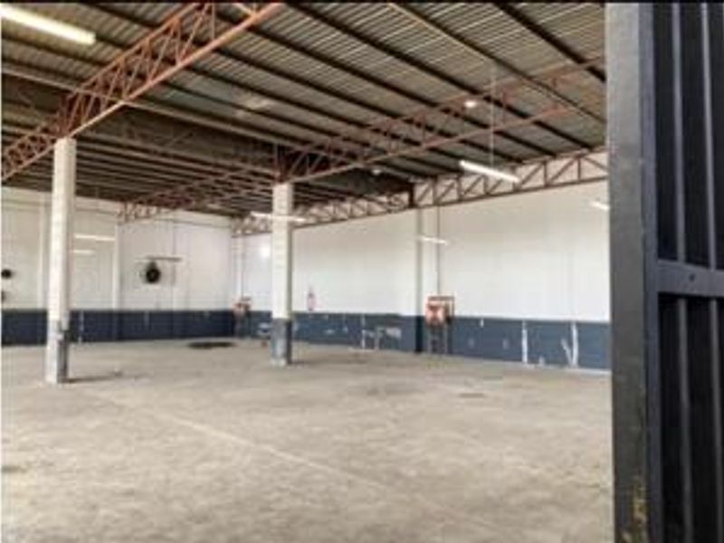 Spacious industrial warehouse unit featuring exposed steel roof trusses, concrete flooring, and functional overhead lighting, suitable for storage or light manufacturing operations.