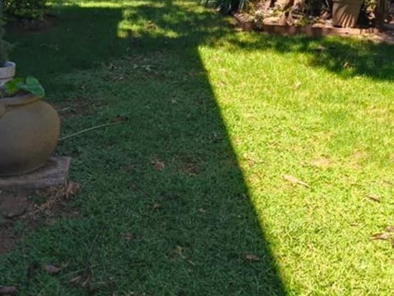 A private garden area featuring a well-maintained lawn, mature trees, and secure metal perimeter fencing.