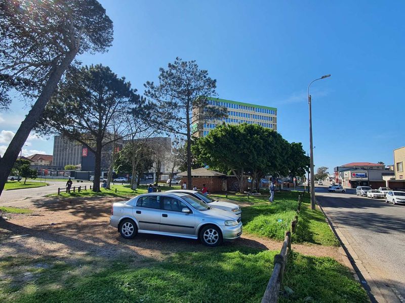 A street-level view of a mixed-use area featuring mature trees, roadside parking, and surrounding commercial and residential building infrastructure.