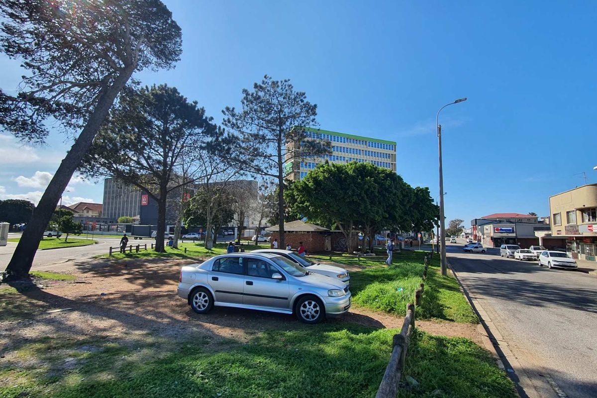 A street-level view of a mixed-use area featuring mature trees, roadside parking, and surrounding commercial and residential building infrastructure.