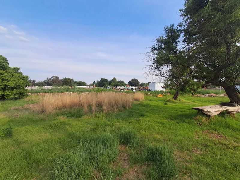 A spacious, open garden area on a small holding, featuring established trees and perimeter fencing, offering potential for further landscaping or development.