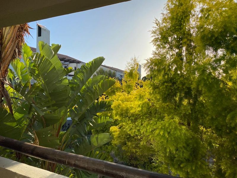 A view from a balcony overlooking lush green trees and surrounding apartment building architecture.