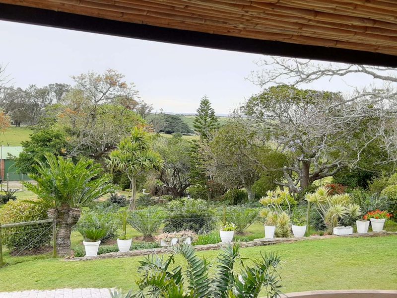 CHANGE YOUR LIFESTYLE TO COUNTRY LIVING - Photo 6