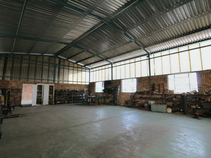 951ha Prime Wildlife, Cattle & Farming Farm for Sale – Limpopo Bushveld - Photo 8