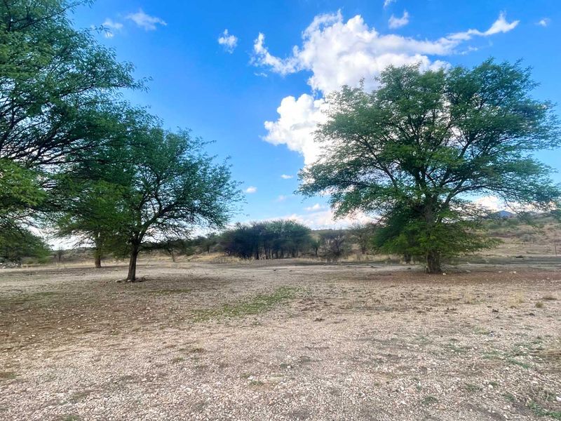 A wide view of a vacant commercial land plot featuring mature trees and natural gravel ground cover under a clear blue sky.