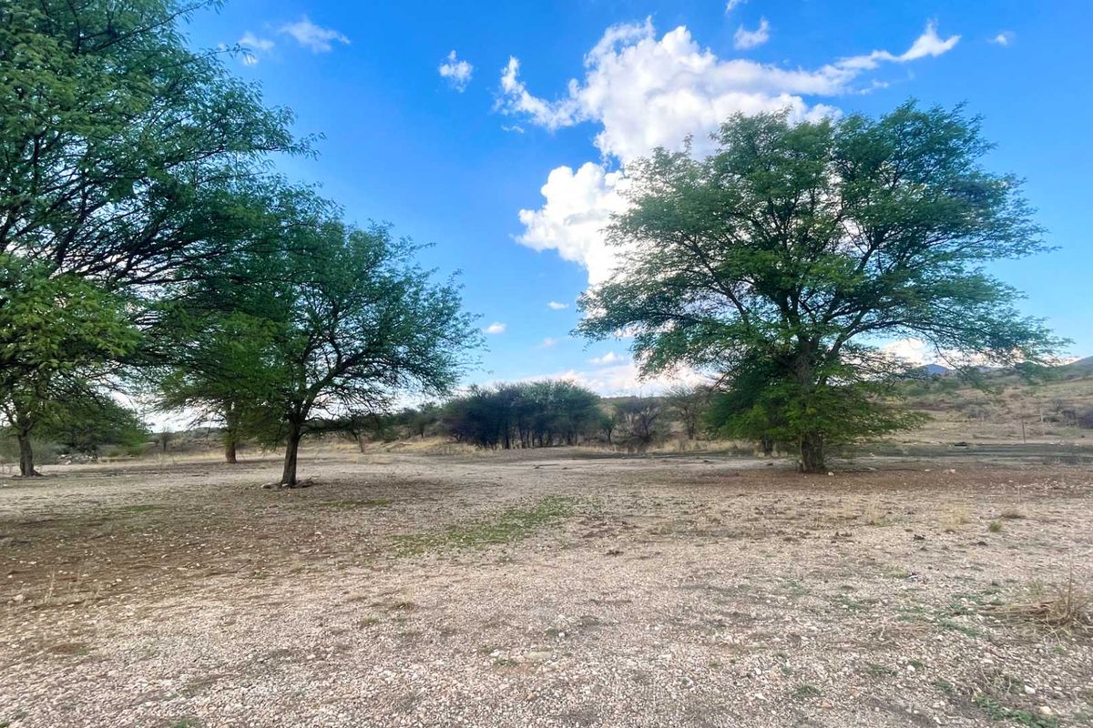 A wide view of a vacant commercial land plot featuring mature trees and natural gravel ground cover under a clear blue sky.