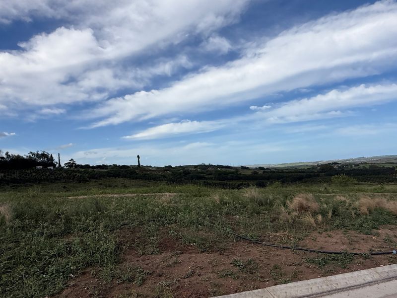 A wide-angle view of a vacant residential plot featuring natural landscape and a concrete curb along the road edge.