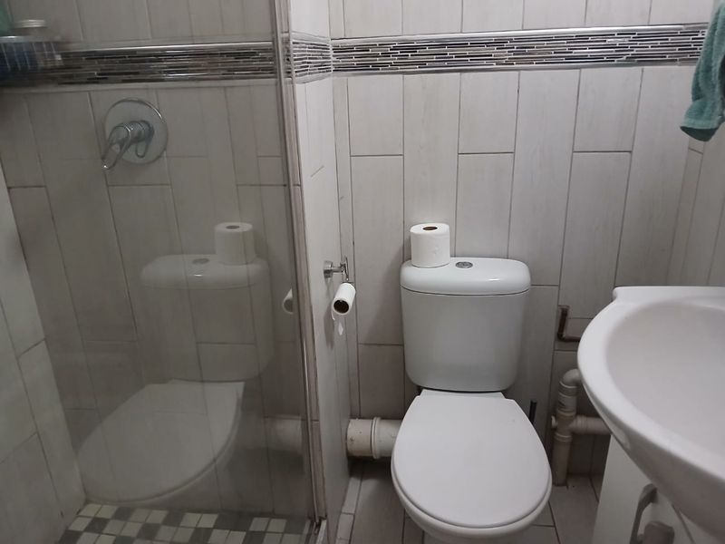 A functional bathroom featuring a shower enclosure, toilet, and pedestal basin with tiled walls and a decorative mosaic border.