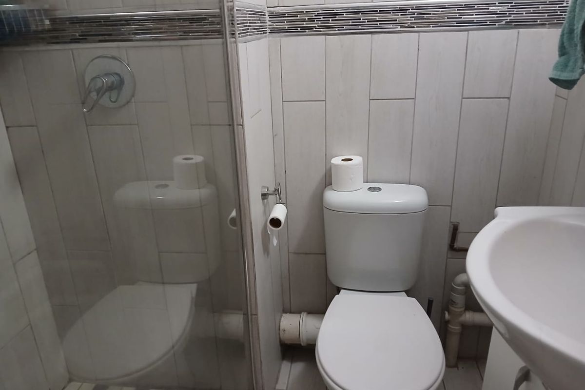 A functional bathroom featuring a shower enclosure, toilet, and pedestal basin with tiled walls and a decorative mosaic border.