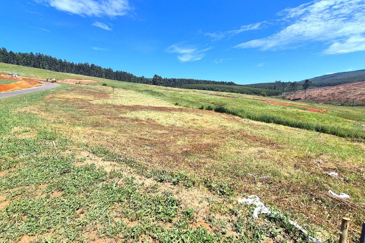 A wide-angle view of a vacant residential plot featuring cleared grass terrain and adjacent paved road access in a rural setting.