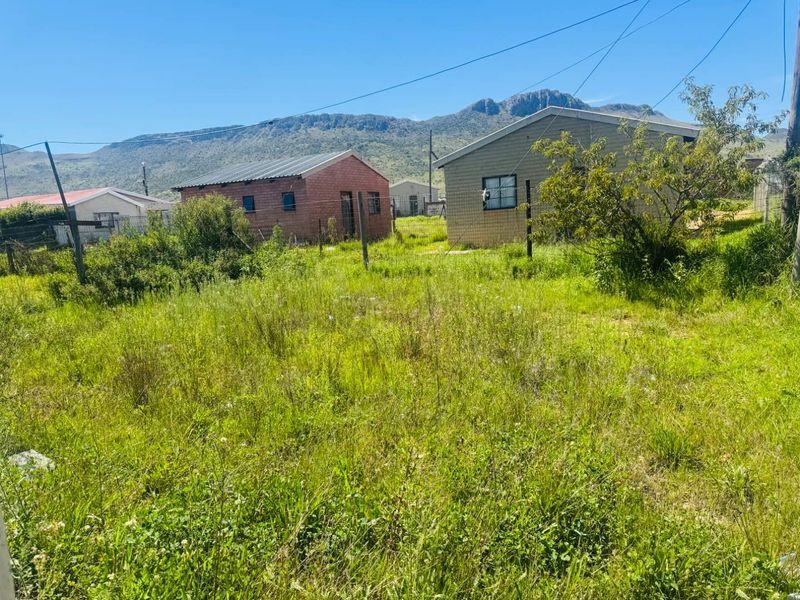 Charming 3-Bedroom Home for Sale in Queenstown Ezibeleni - Photo 4