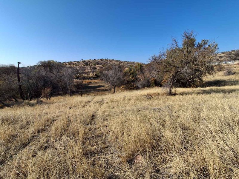 A wide-angle view of the natural landscape featuring dry grassland and indigenous trees on the small holding property.