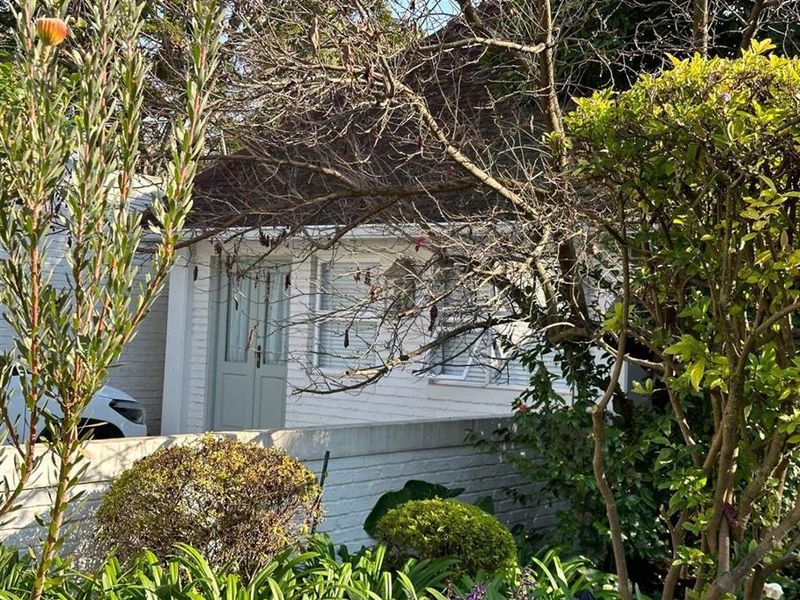 Front view of a cottage featuring a painted brick facade, tiled roof, and a low brick boundary wall, partially obscured by garden foliage.