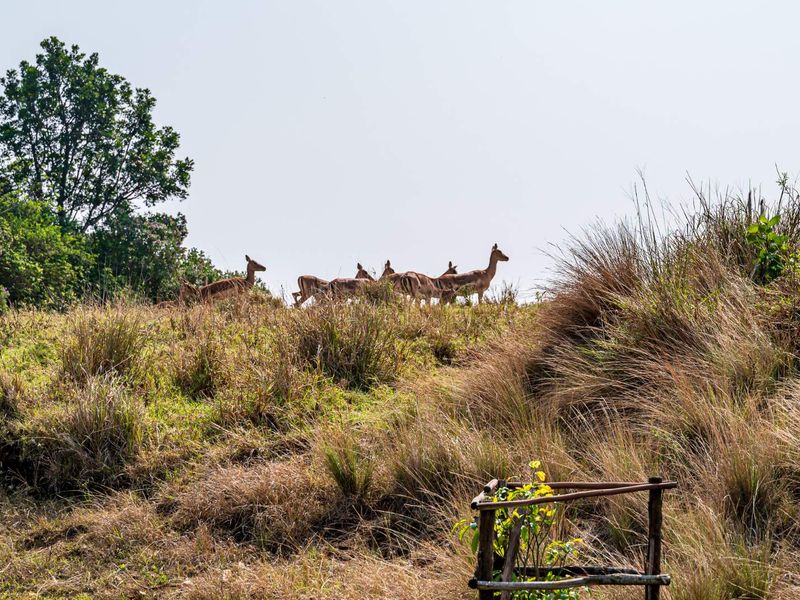 ALMOST PANCAKE LEVEL LAND IN THE PRESTINE PHEZULU ECO ESTATE! - Photo 4
