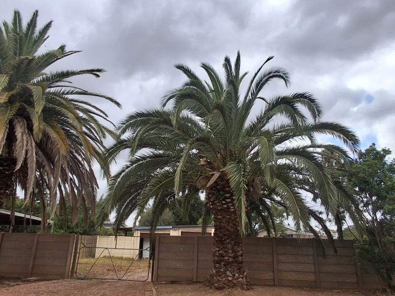 Canvas of Dreams: Build Your Future in Heidelberg! - Photo 7