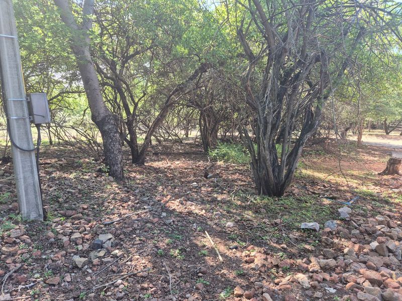 "Own a Slice of Paradise Next to Leeupoort's Greenbelt!" - Photo 4