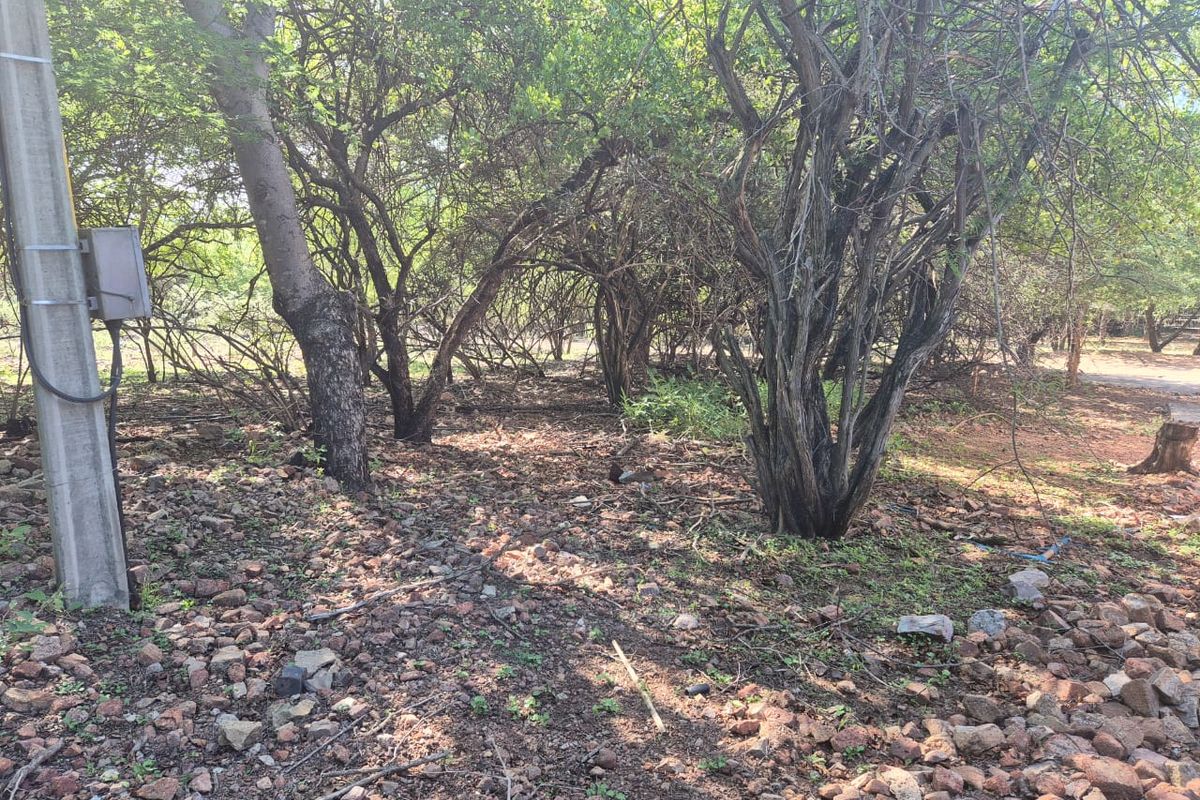 "Own a Slice of Paradise Next to Leeupoort's Greenbelt!" - Photo 4