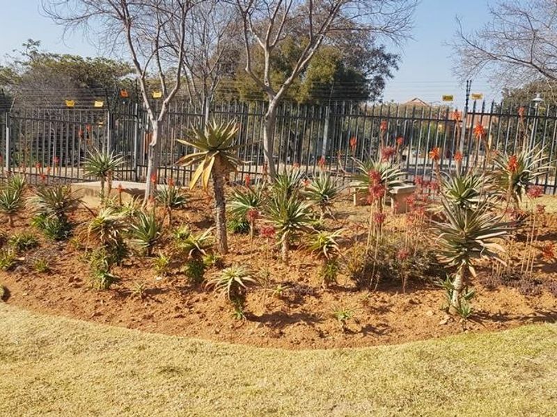A well-maintained garden area featuring established succulent plantings, paved borders, and secure metal perimeter fencing with integrated security wiring.