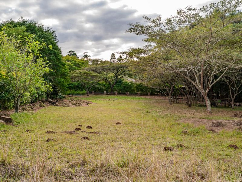 The Perfect piece of land - Photo 10