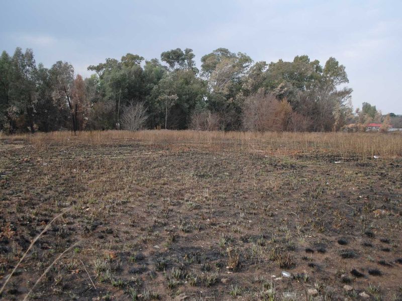 Prime main street location housing this large sectional title stand - Photo 2