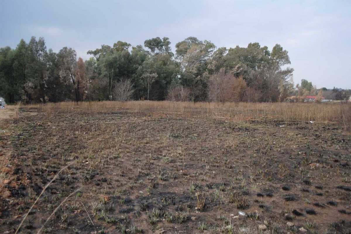 Prime main street location housing this large sectional title stand - Photo 2