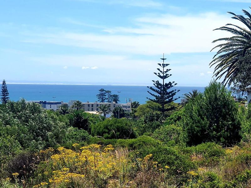 A scenic elevated view overlooking coastal vegetation and mature trees with a clear horizon line over the ocean.