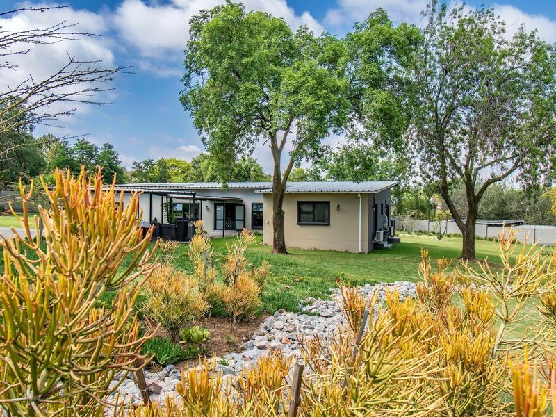 A rare find - Photo 5