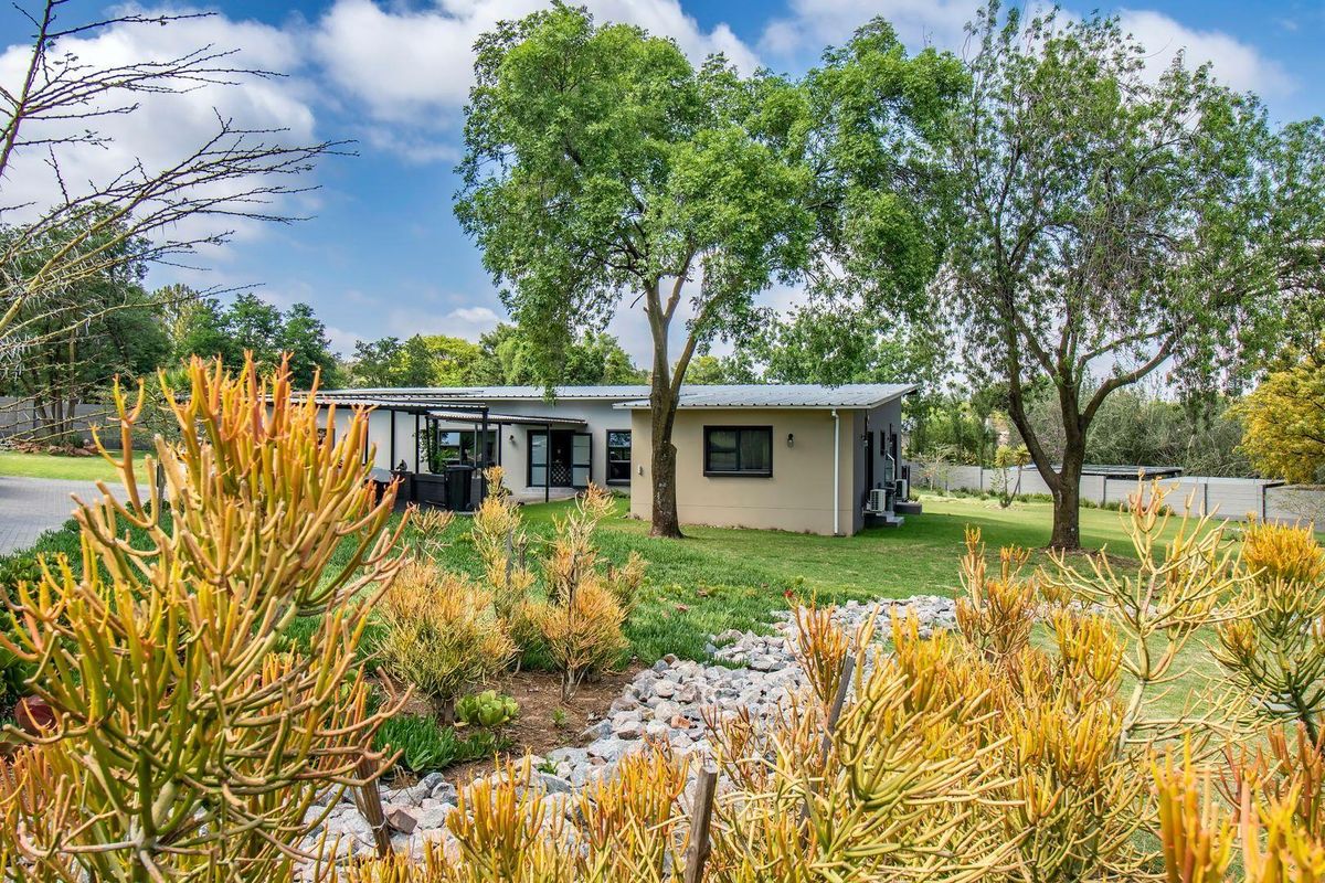 A rare find - Photo 5