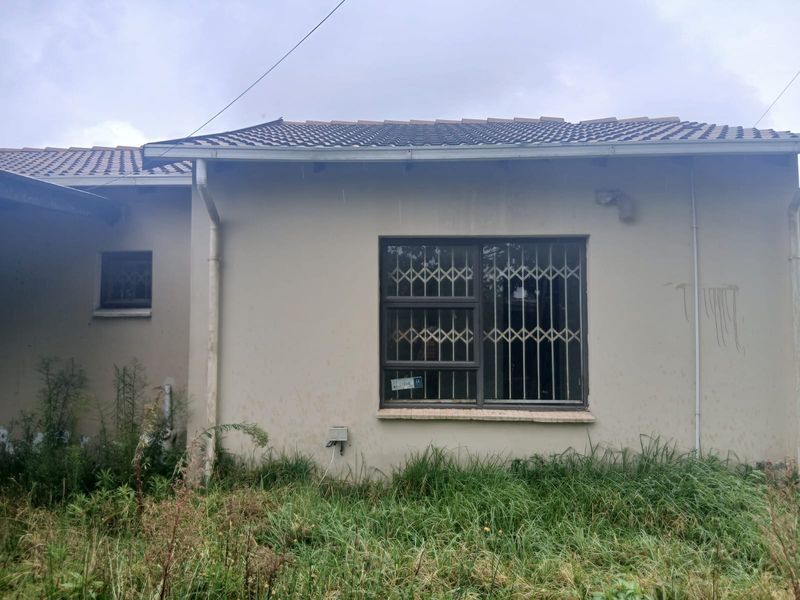 Rear exterior view of the property featuring tiled roofing, security bars on windows, and significant overgrown vegetation requiring maintenance.