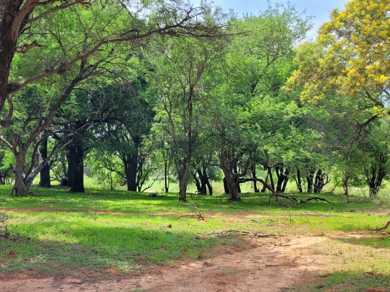 Embrace Tranquility - Prime Stand - Photo 6