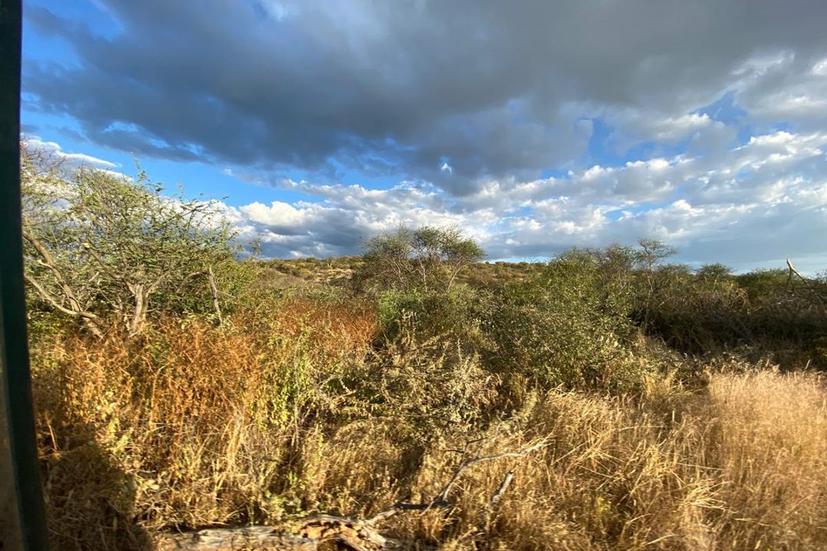 A 700 hectare farm just outside Outjo, where the bushveld opens into wide plains and clear skies, lies a well-developed farm — Ideal for irrigation & small stoc - Photo 3