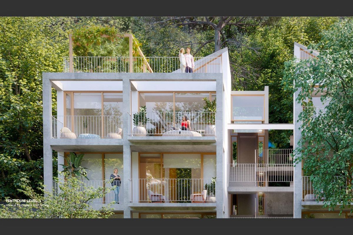 The Perfect Tree House - Photo 2