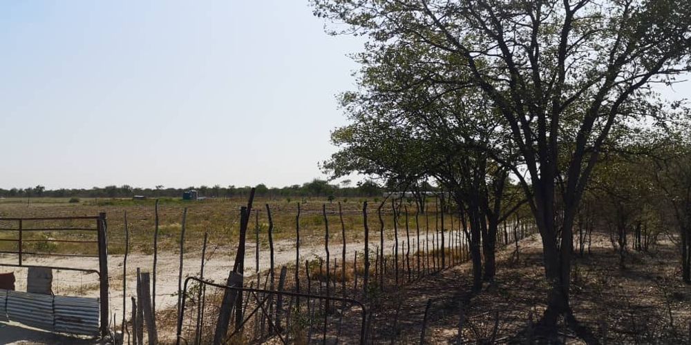 View with the greenhouse.