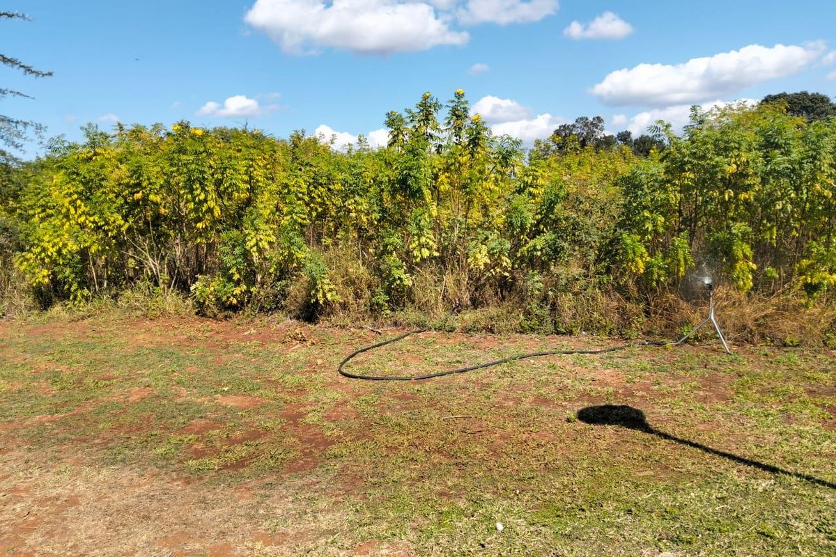 Vacant land for sale in Malelane - Photo 4