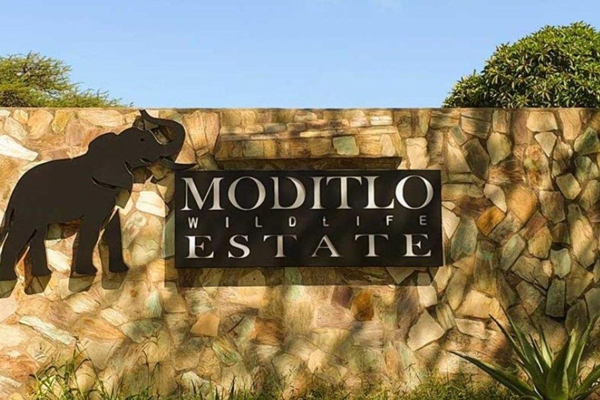 Prime Location in Big 4 Game Reserve!! - Photo 2