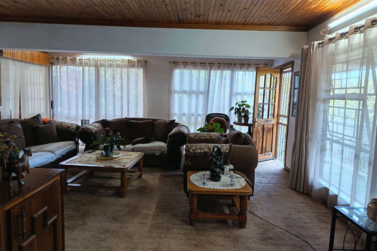 Spacious living area featuring a timber-clad ceiling, large windows providing ample natural light, and direct access to an outdoor space.