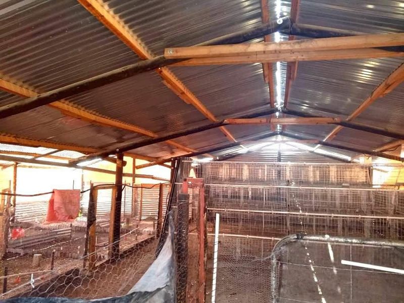 GROOTFONTEIN PLOT FOR SALE! BARGAIN OF THE YEAR! - Photo 9