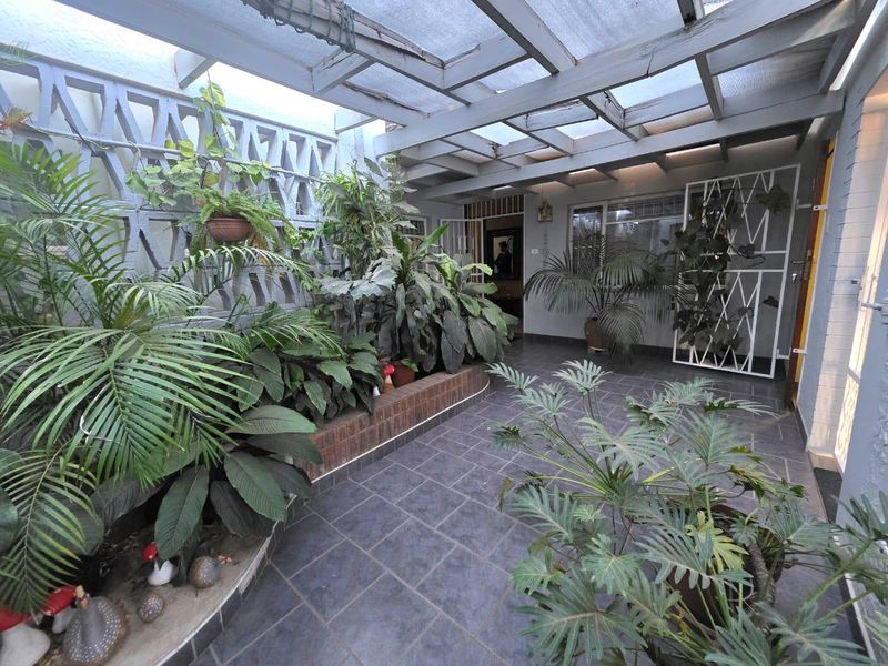 A covered patio area featuring a timber pergola with translucent roofing, tiled floors, a decorative breeze block wall, and a built-in brick planter.